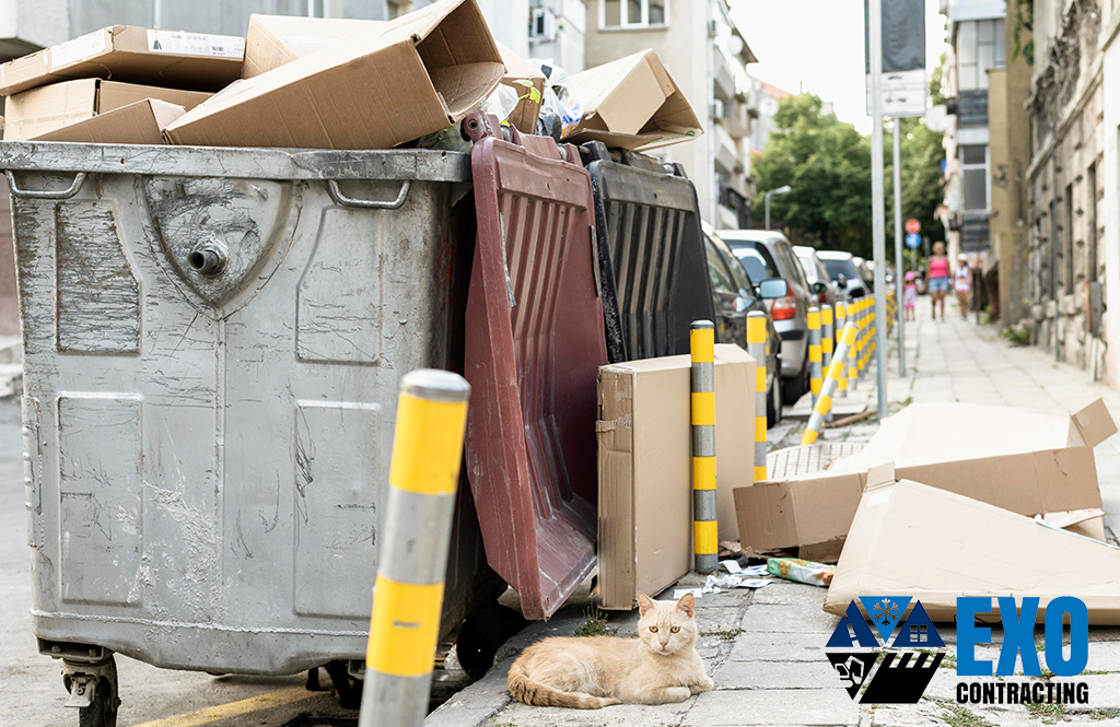 De-Clutter Your Life with Professional Junk Removal in Chilliwack