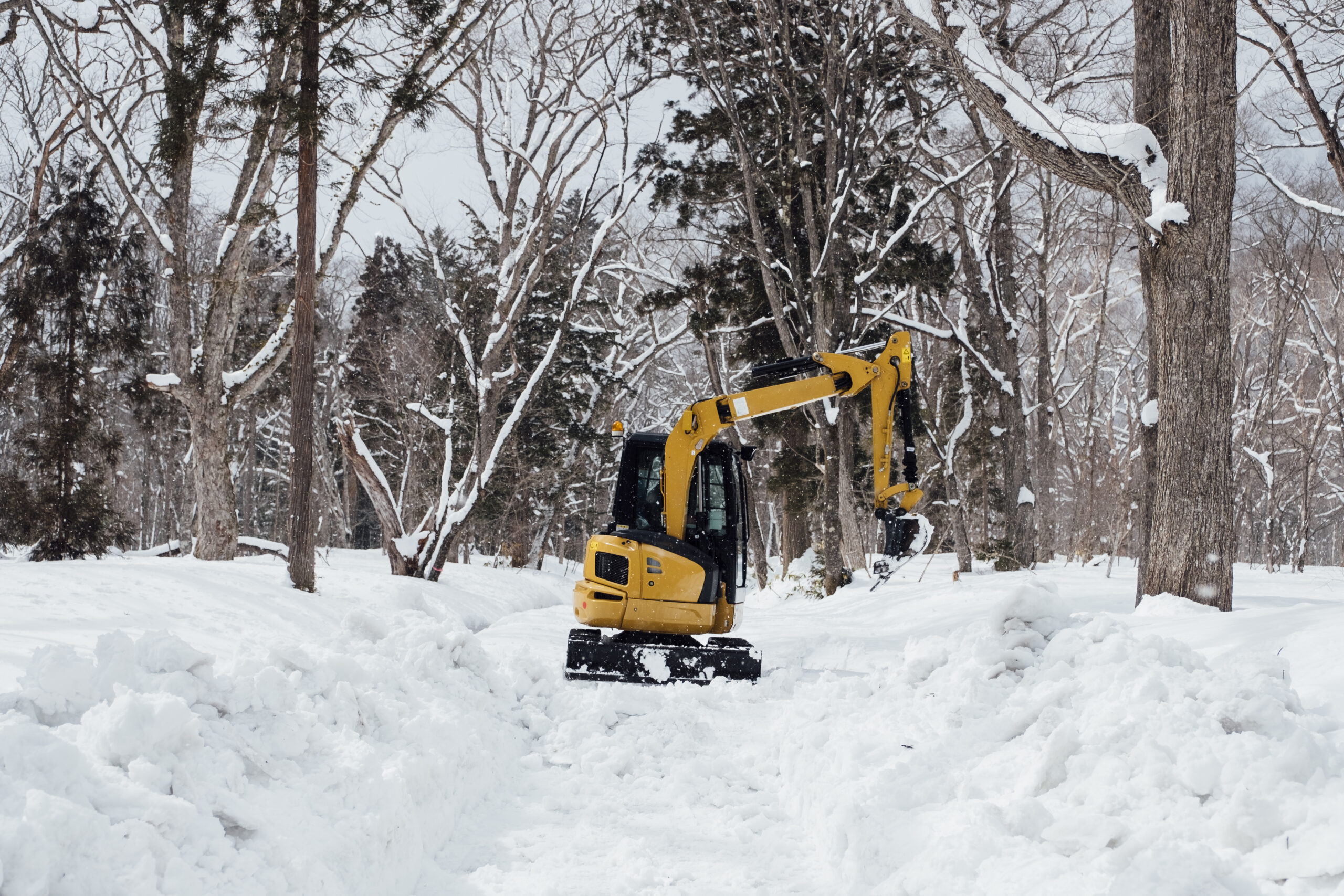 Winter Prep: Roof Snow Removal and Residential Snow Removal Tips