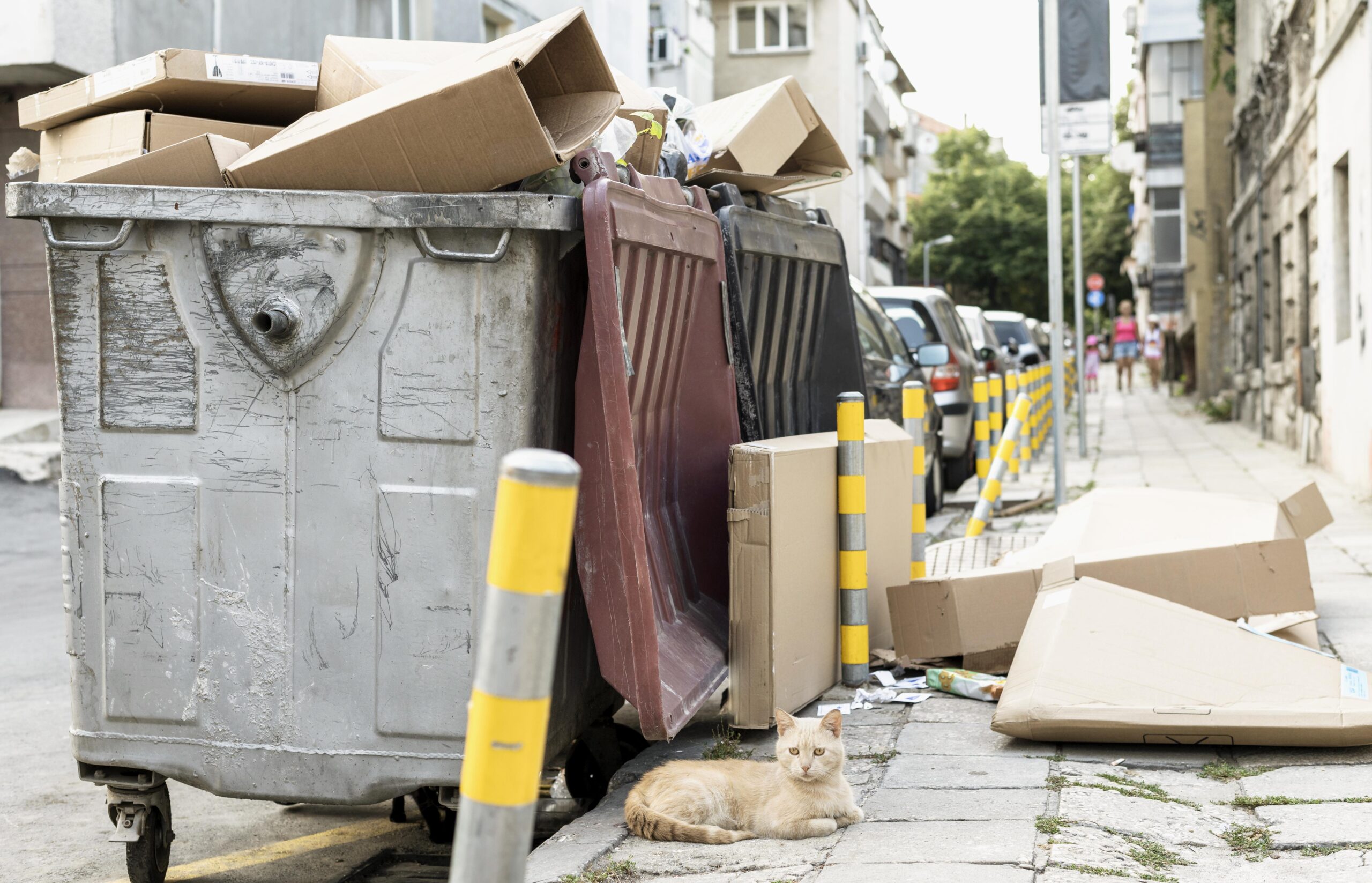 Bin Rental in Vancouver
