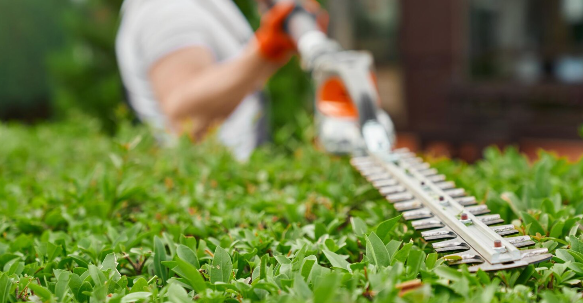 commercial landscaping services
